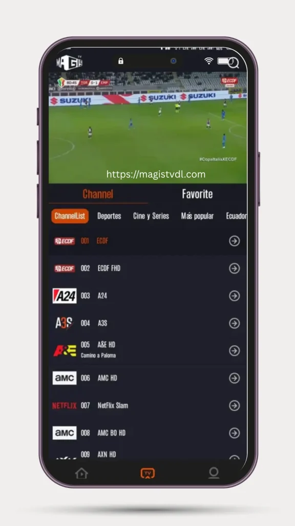 Canales deportivos Magistv